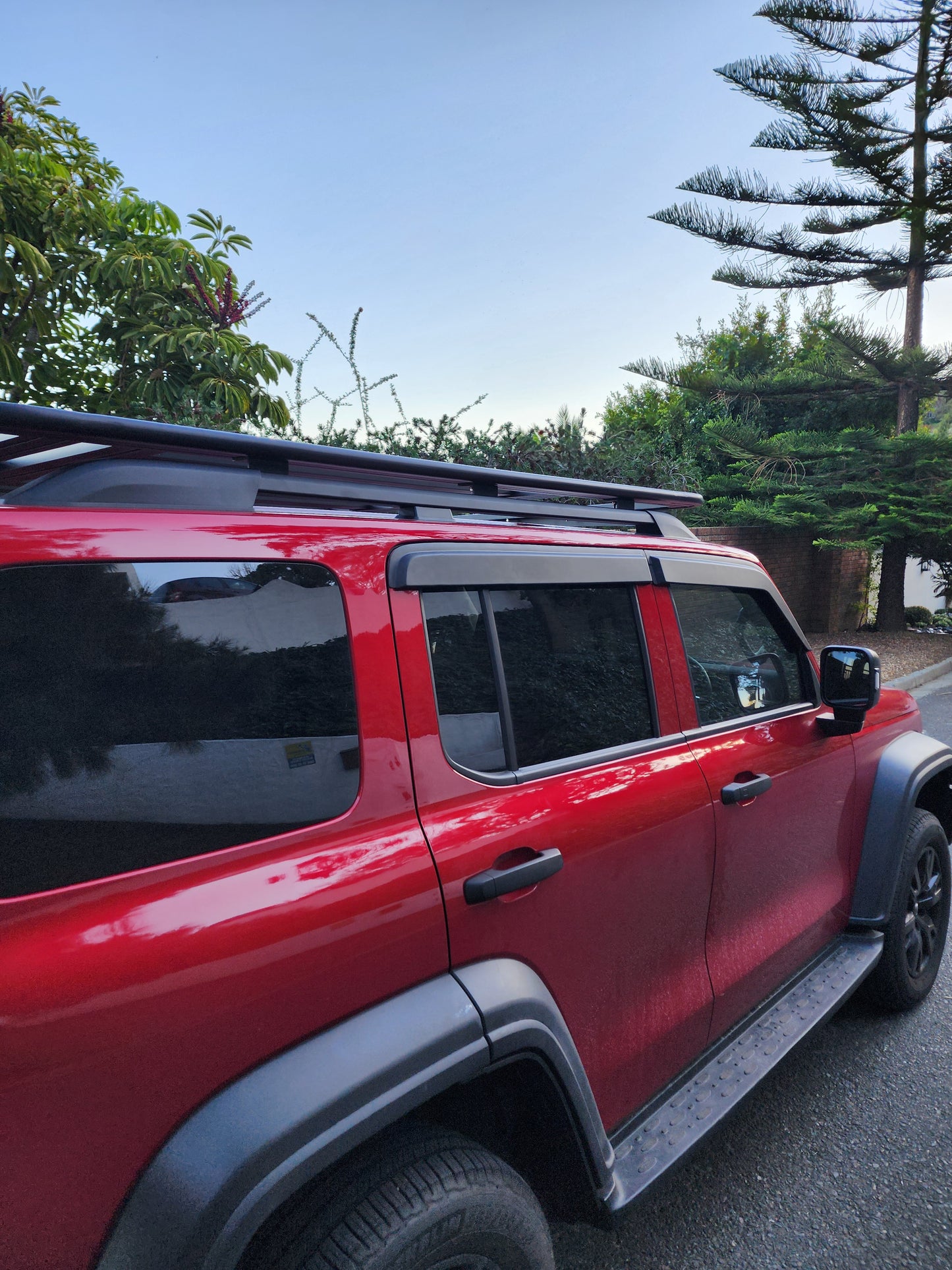 GWM TANK 300 Grain Window Shields