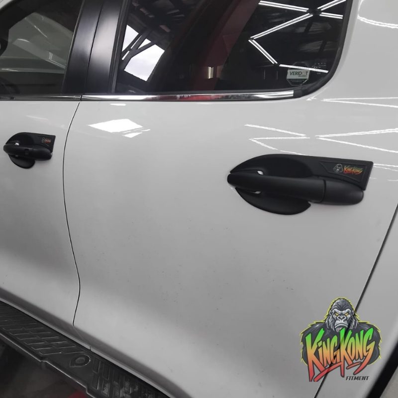 GWM P-series, P300 and P300 LTD Grab Handle & Door Bowl Cover Kit
