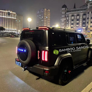 GWM Tank 300 Segmented Tail Wings with LED