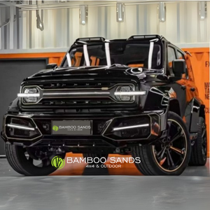 GWM Tank 300 shadow kit